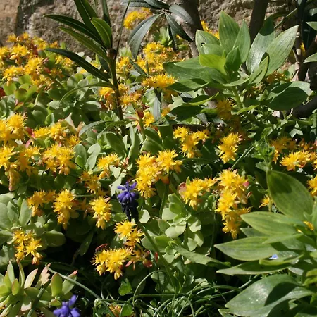 Appartamento Paradiso *