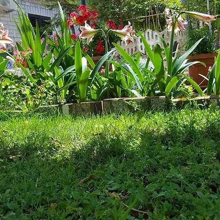 Appartamento Paradiso *