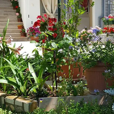 Appartamento Paradiso Pola