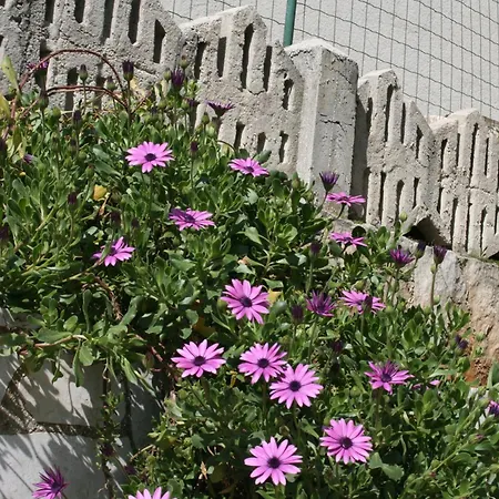 公寓 帕拉迪斯公寓酒店
