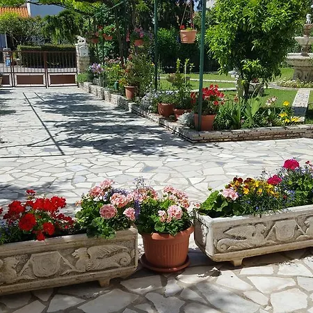 Paradiso Пула