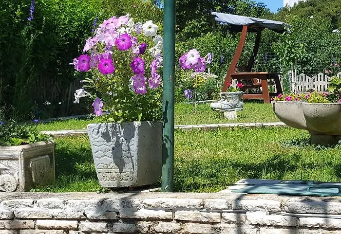 Paradiso